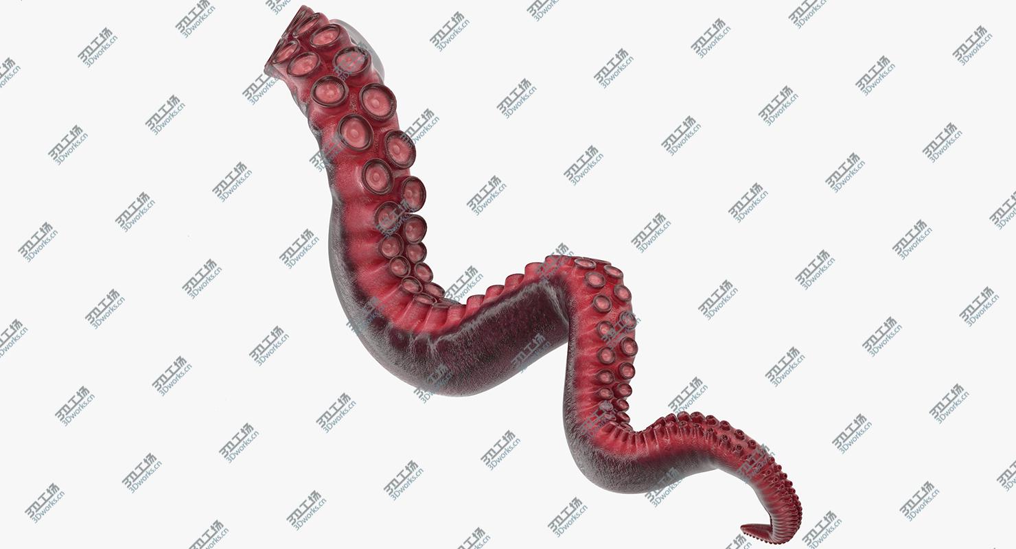 images/goods_img/20210113/Octopus Tentacle Rigged for Cinema 4D/5.jpg